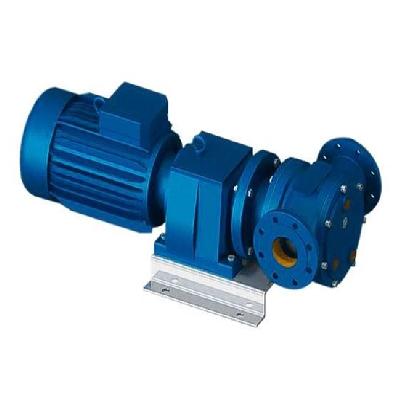 Flange Connection Pump