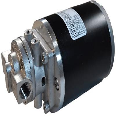 Gear Pump And Motor