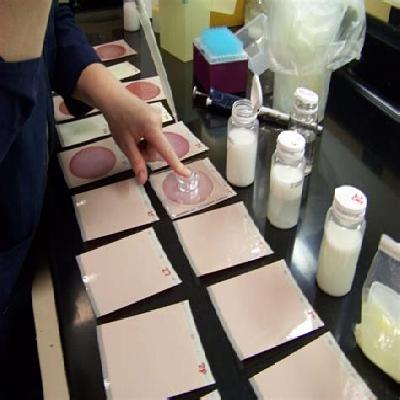 Milk Pasteurizer