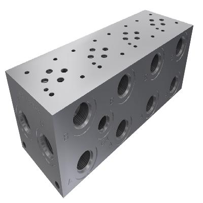 Manifold Block