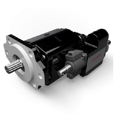 Atos Hydraulic Vane Pump