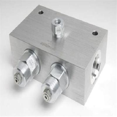 Dual Counterbalance Valve