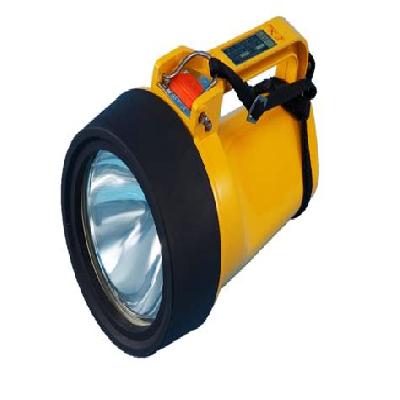 Share Flame Proof Torch