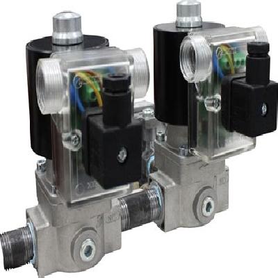 Double Solenoid Valve