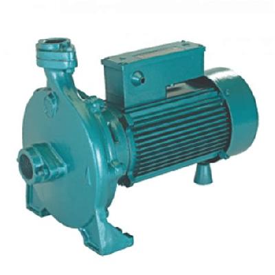 ACM CRI Monoblock Pumps