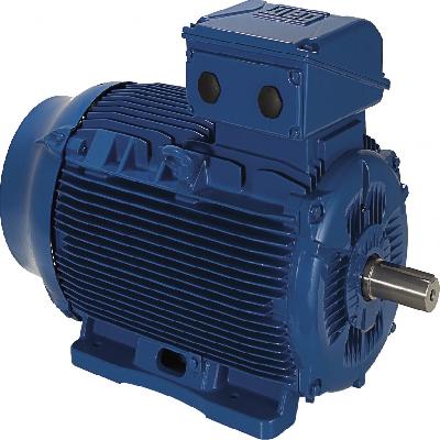 Industrial Motor