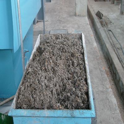 Coal Fired Hot Air Generator