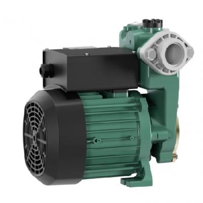 PW 175 EA Single Pump Booster Pump