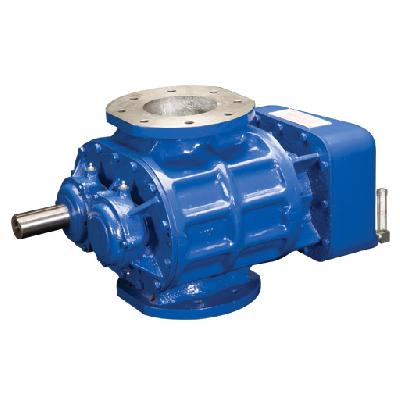 Twin Lobe Rotary Air Blower