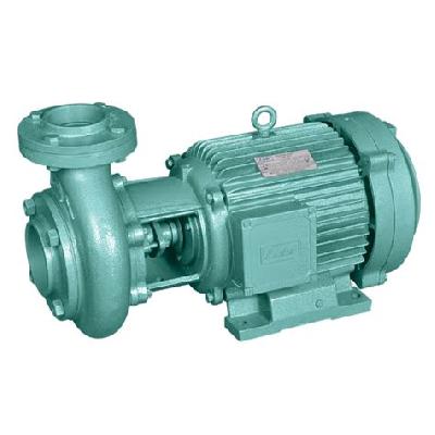 Wilo Monoblock Pump Set
