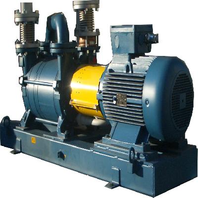 Water Ring Vacuum Pump for Automobile Industry