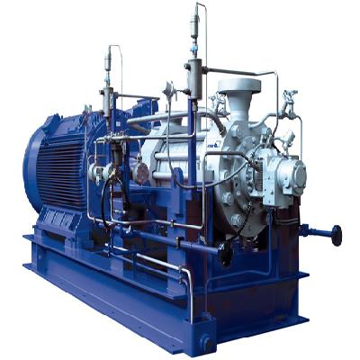Boiler Feed Pumps 