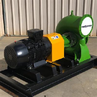 Special Customized Pumps