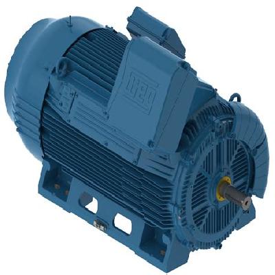 Industrial Motor