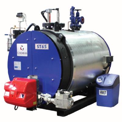 Hot Water Boilers