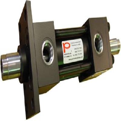 Dual Rod Cylinder