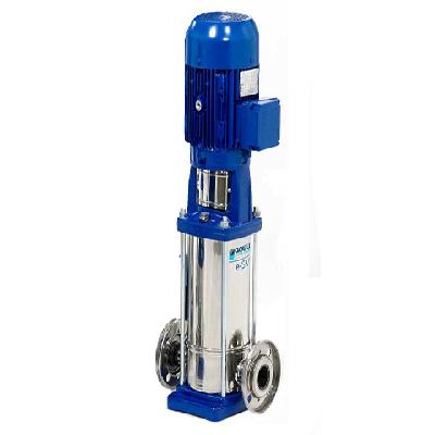 Vertical Multistage Pump