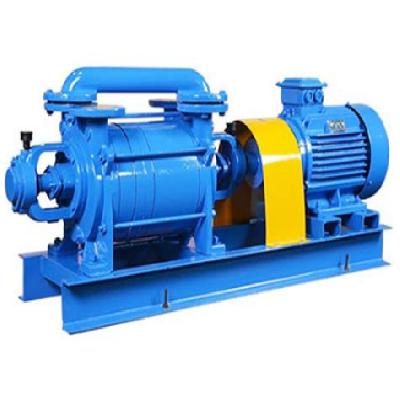 DIICE Water Ring Pump