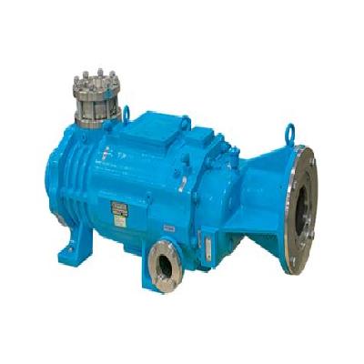 Dry Screw Vacuum Pump