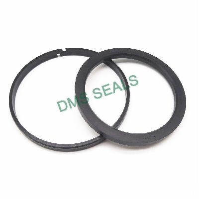 Piston Seals