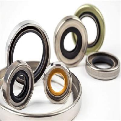 PTFE Rotary Shaft Seals