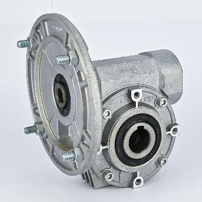 Bonfiglioli Worm Gear Box