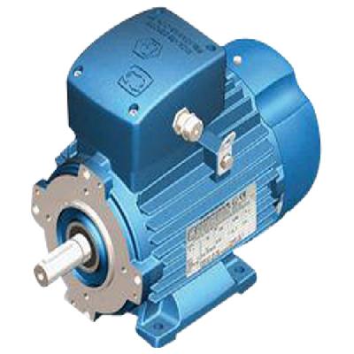 Flame Proof Motor