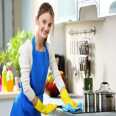 Domestic Housekeeping Services