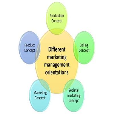 Marketing Management Services