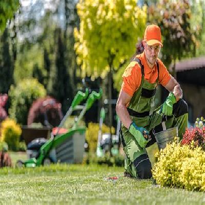 Gardener Mali