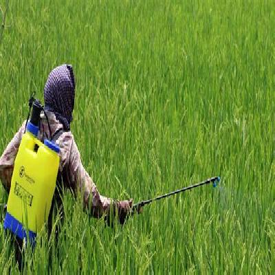 Agriculture Spray Pump