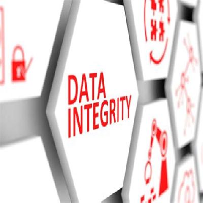 Data Integrity Services