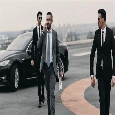 VIP Protection Services
