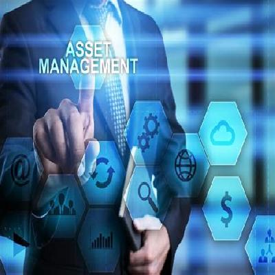 Asset Management Service