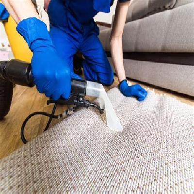 Carpet And Upholstery Cleaning Service