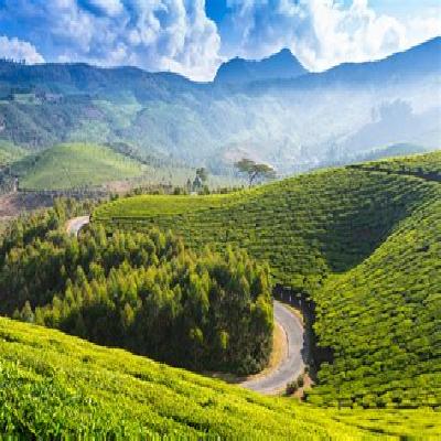 Kodaikanal Tour Packages