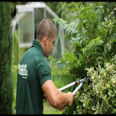 Gardening Services