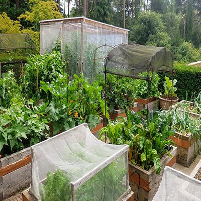 Garden Horticulture Service