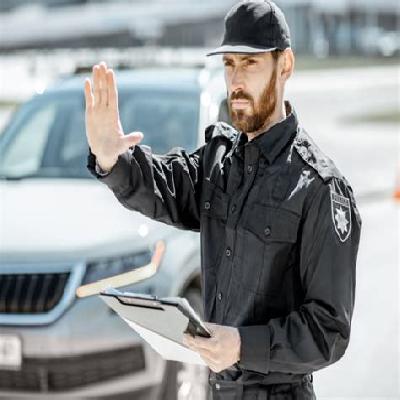 Security Personnel Services