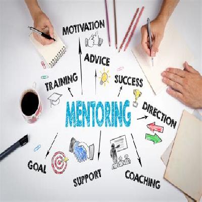 Institutionalizing Mentoring 