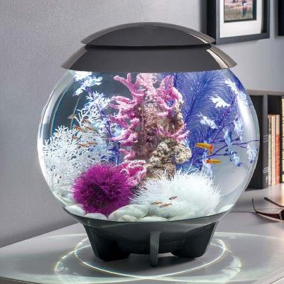 Aquarium accessories