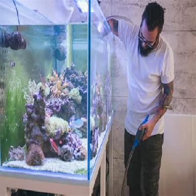 Aquarium Maintenance Service