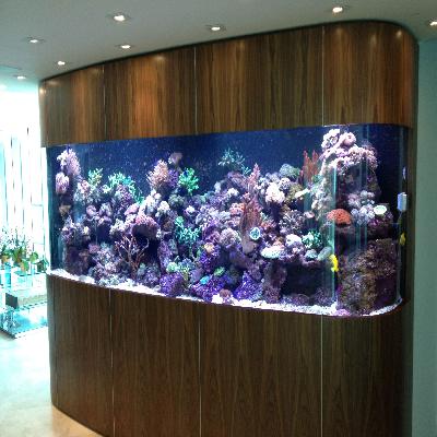 Customized Aquarium