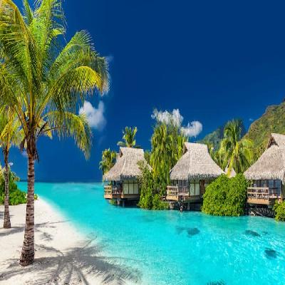 Exotic South