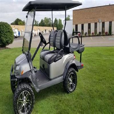 Electric Golf Cart