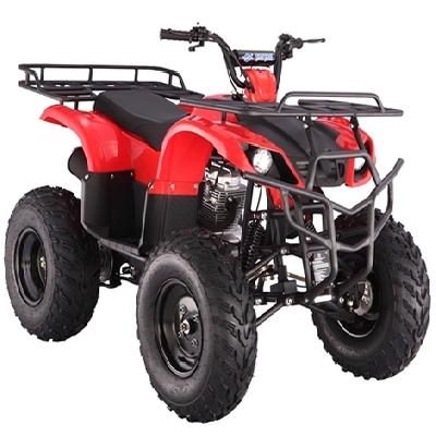 Fully Automatic atv