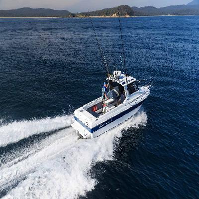 Fibreglass Boats