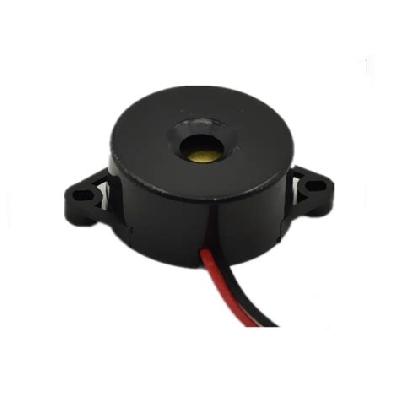 Electric Buzzer