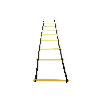 Fitness Ladder