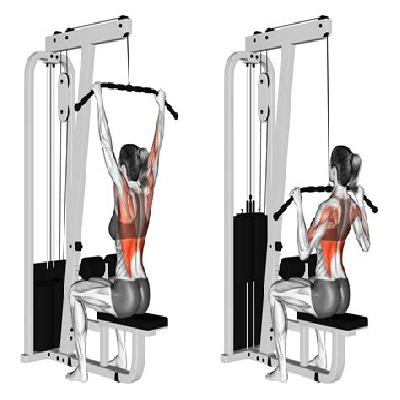 Lat Pull Down